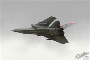 dsc_0206a
