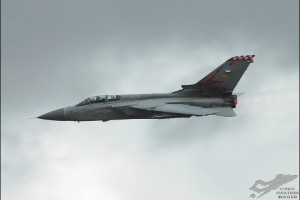 dsc_0212a