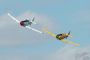 dsc_0170