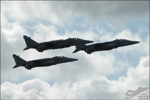 dsc_0011a