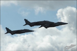 dsc_0013a