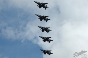 dsc_0059a