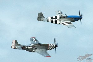 adsc_0125