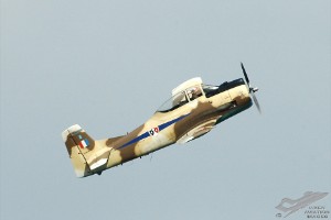 adsc_0155