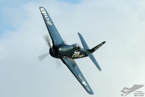 adsc_0355