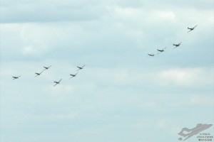 adsc_0026