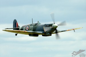 adsc_0048