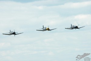 adsc_0111