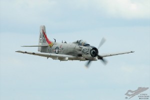 adsc_0193