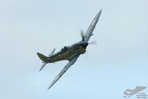 adsc_0201