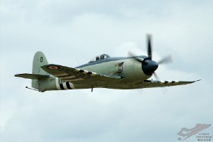 adsc_0210
