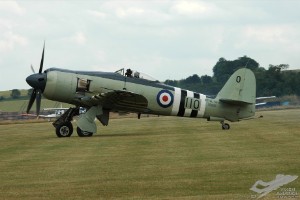 adsc_0229