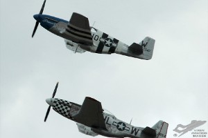 adsc_0308