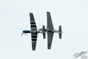 adsc_0311