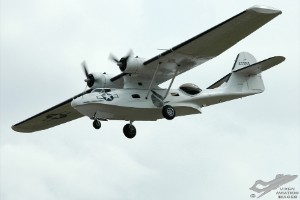adsc_0331
