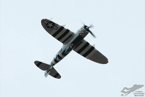 adsc_0360