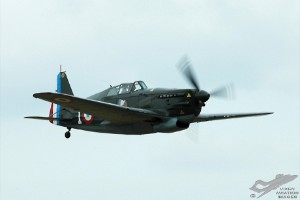 adsc_0415