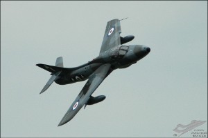 adsc_0213