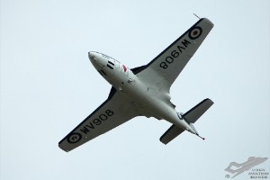 adsc_0049