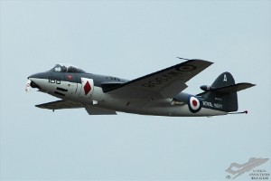 adsc_0218