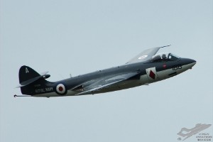 adsc_0231