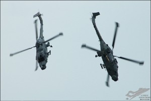 adsc_0290