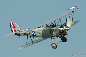 adsc_0164