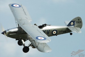 adsc_0247