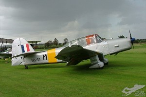 adscf0188