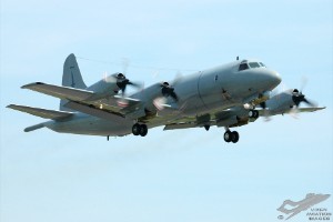 adsc_0159