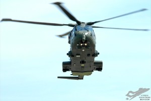 adsc_0171
