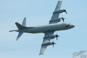 adsc_0203
