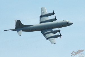 adsc_0209