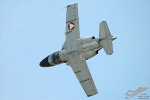 adsc_0269