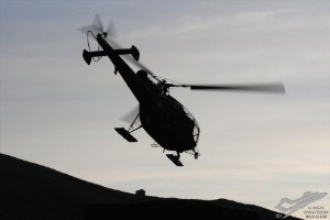 adsc_0007