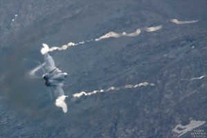adsc_0069