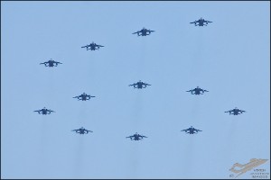DSC_0290b