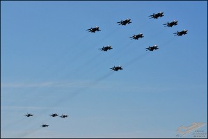 DSC_0313b