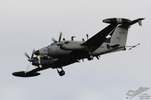 dsc_0180a