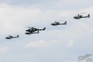 dsc_0058a