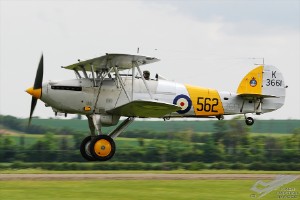 dsc_0212a