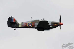 dsc_0228a
