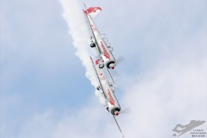 adsc_0244