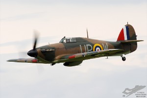 adsc_0317
