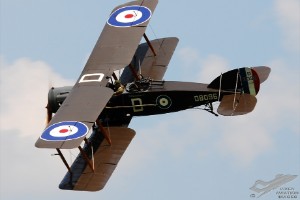 dsc_0103a
