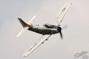 dsc_0283a