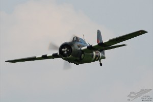 dsc_0315a