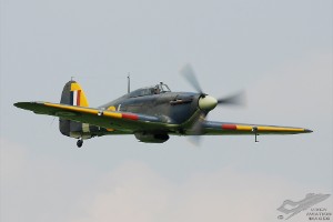 dsc_0339a