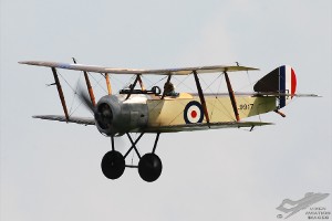 dsc_0349a