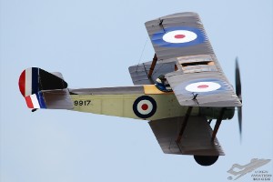 dsc_0355a